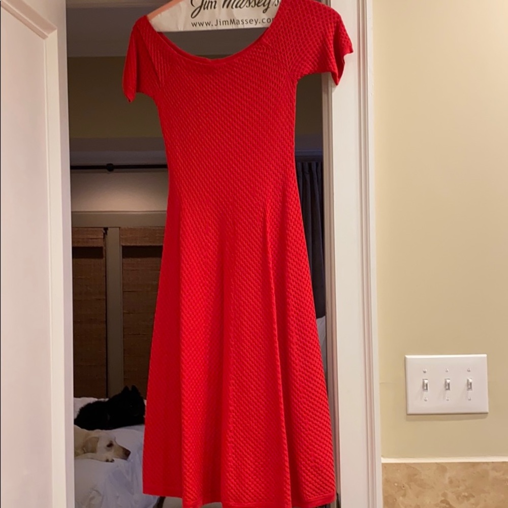 Red dress fitted a-line frame
